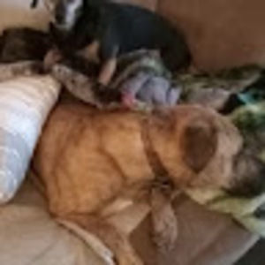 Meet your Posher, Tina